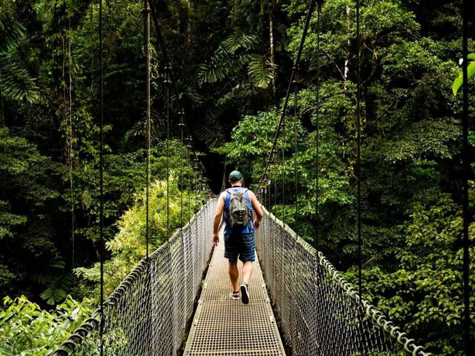 Costa Rica Wildlife Tour - undefined - Image 11