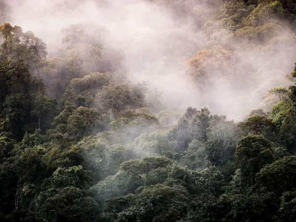 Costa Rica Wildlife Tour - undefined - Image 10