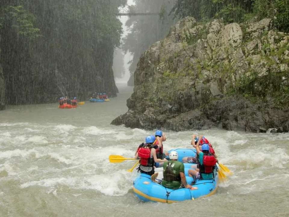 Costa Rica Wildlife Tour - undefined - Image 8