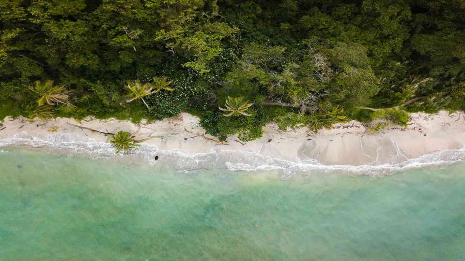 Costa Rican Adventure - Indus Travels - Costa Rica - Image 6