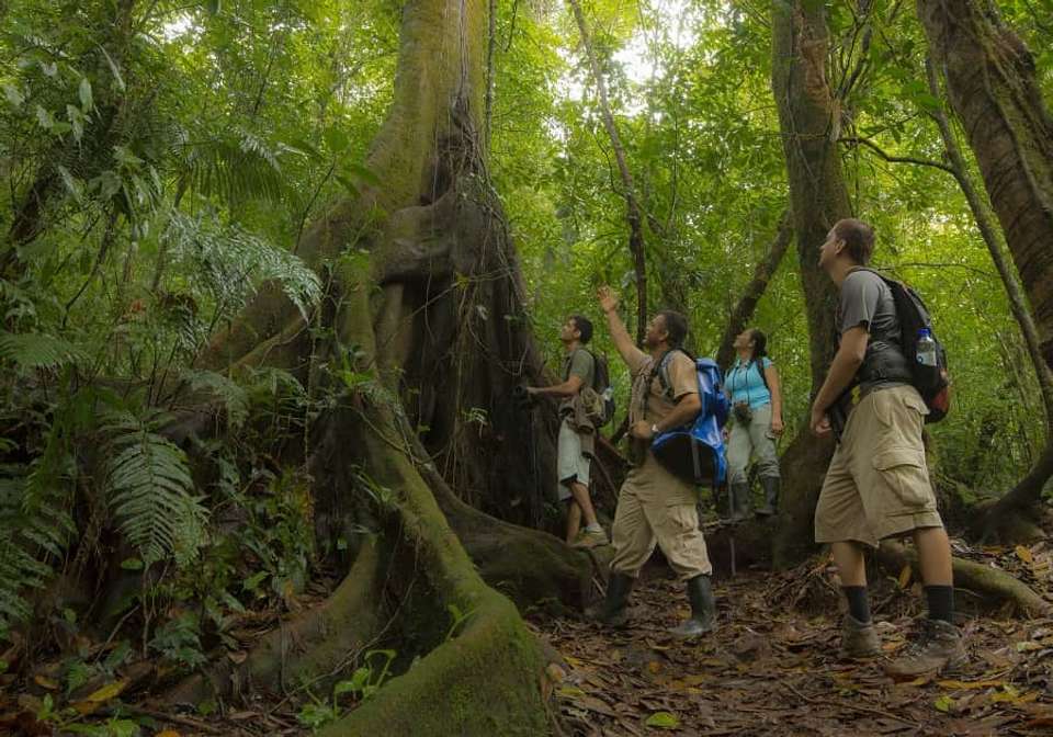 Costa Rican Explorer - Indus Travels - Costa Rica