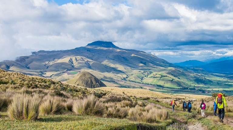 Cotopaxi Llama Express trip - alternative tour available