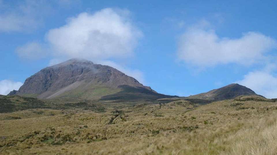 Cotopaxi Llama Express - Gulliver Expeditions - Ecuador - Image 2