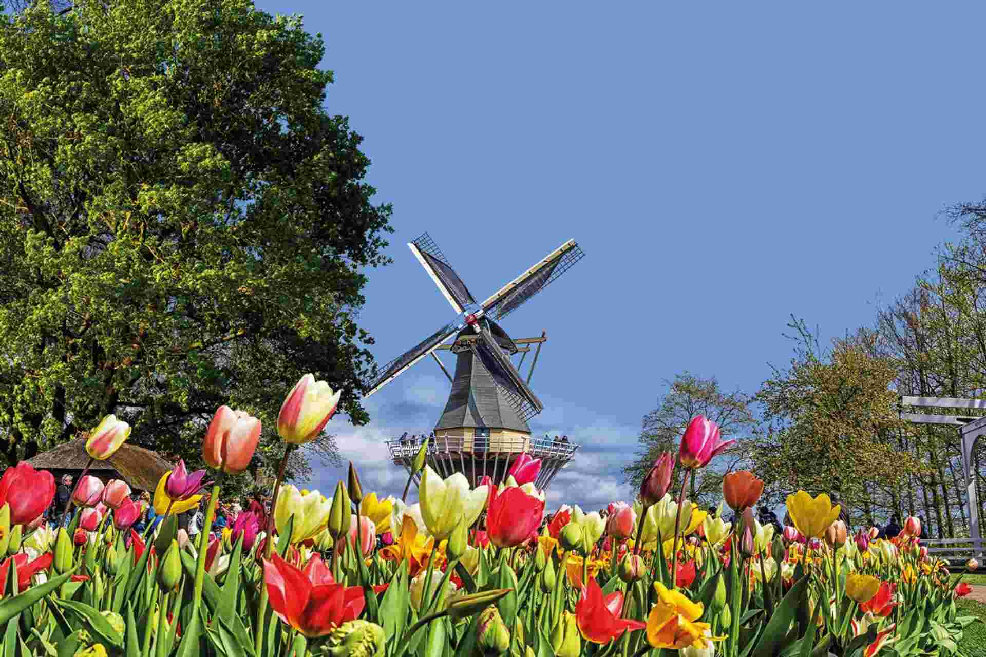 Country Roads of Belgium, Luxembourg & the Netherlands