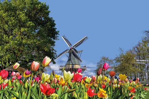 Country Roads Of Belgium, Luxembourg & The Netherlands
