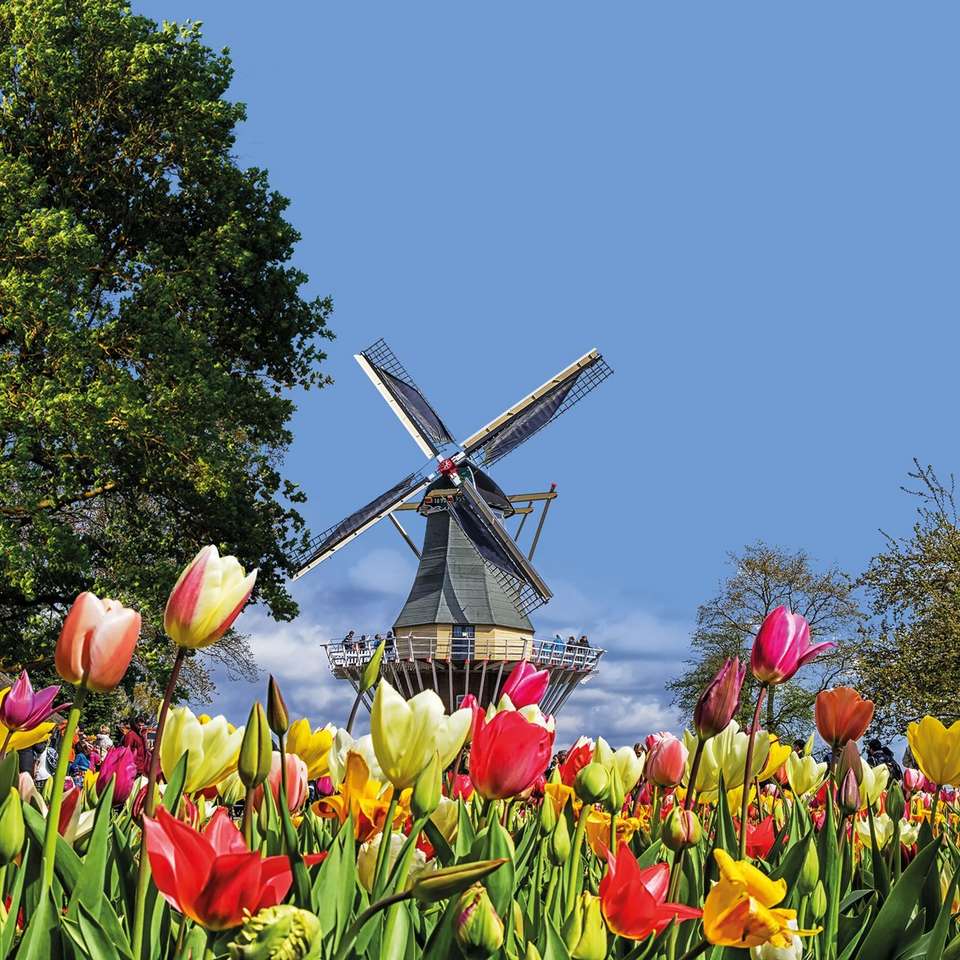 Country Roads of Belgium, Luxembourg & the Netherlands - Insight Vacations - Belgium - Image 1