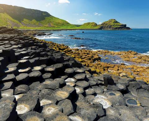Food Tour: Country Roads Of Ireland