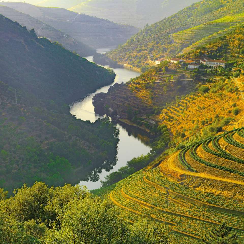 Country Roads of Portugal - Insight Vacations - Portugal - Image 6