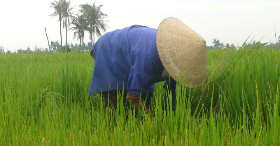 Countryside Bicycle Tour - Morning - Heaven & Earth Tours - Vietnam - Image 1