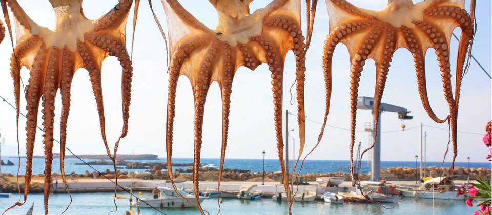 Crete: Mountains and Coast Guided Walk - Utracks - Greece - Image 9
