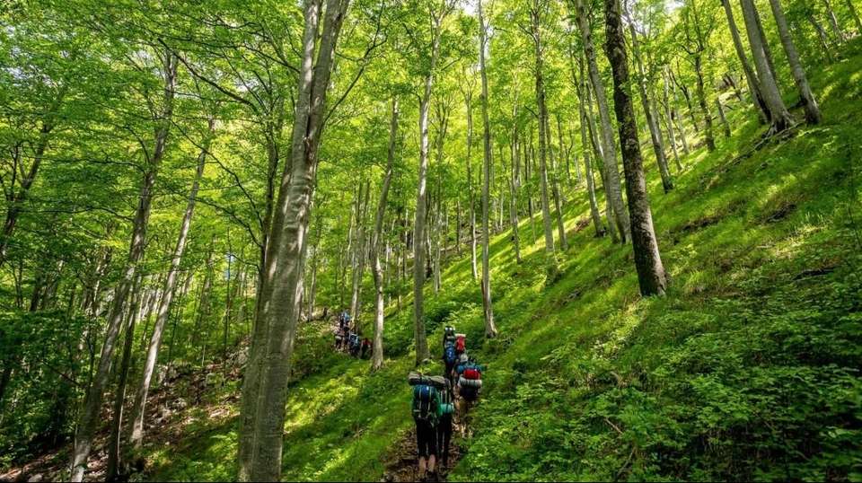 Croatia National Parks and Premuzic Trail Trekking tour - Real Croatia - Croatia - Image 4