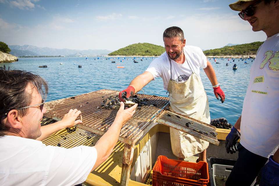 Croatia Sailing Adventure: Dubrovnik to Split - Intrepid Travel - Croatia - Image 6