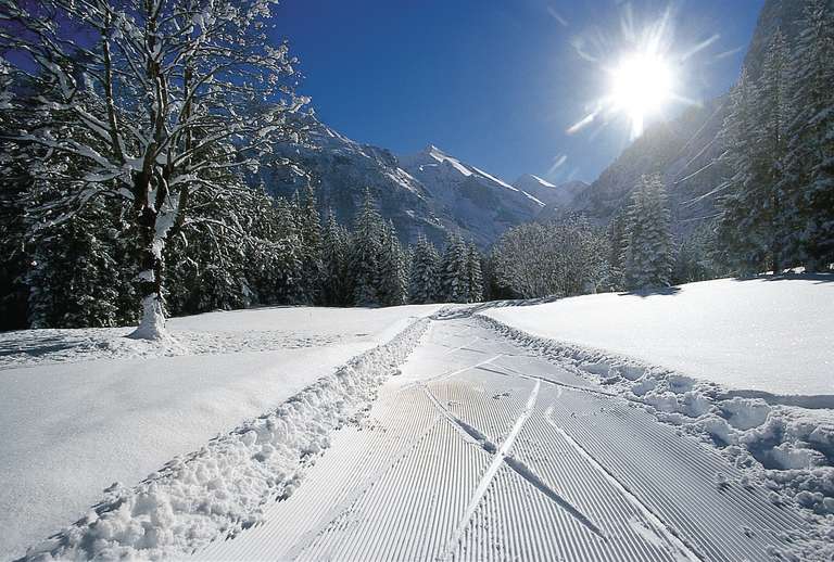 Cross-country Skiing in Kandersteg trip - alternative tour available