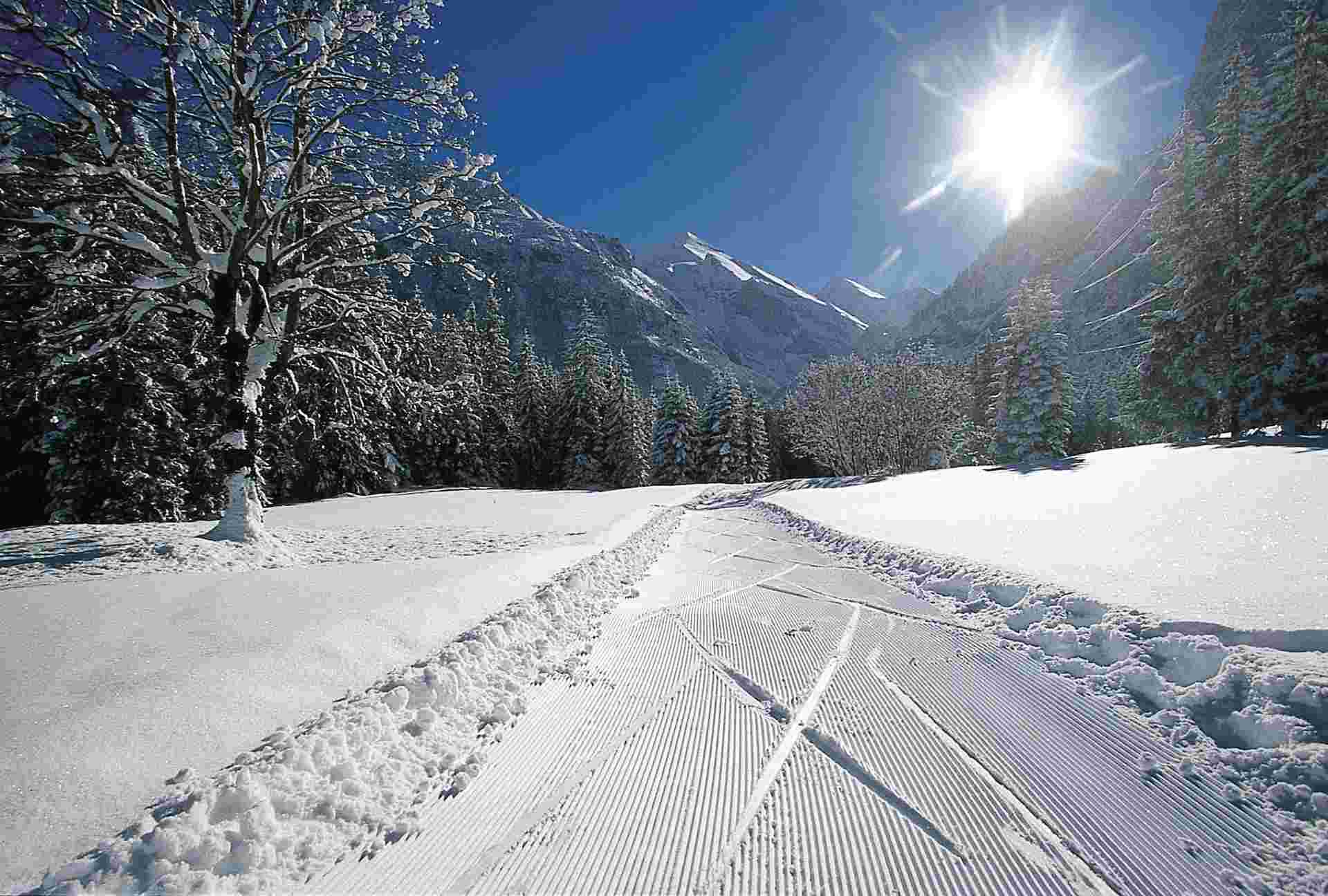 Cross-country Skiing in Kandersteg