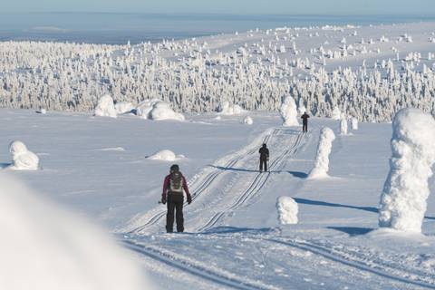 Skiing And Snowboarding Tour: Cross-country Skiing In Lapland