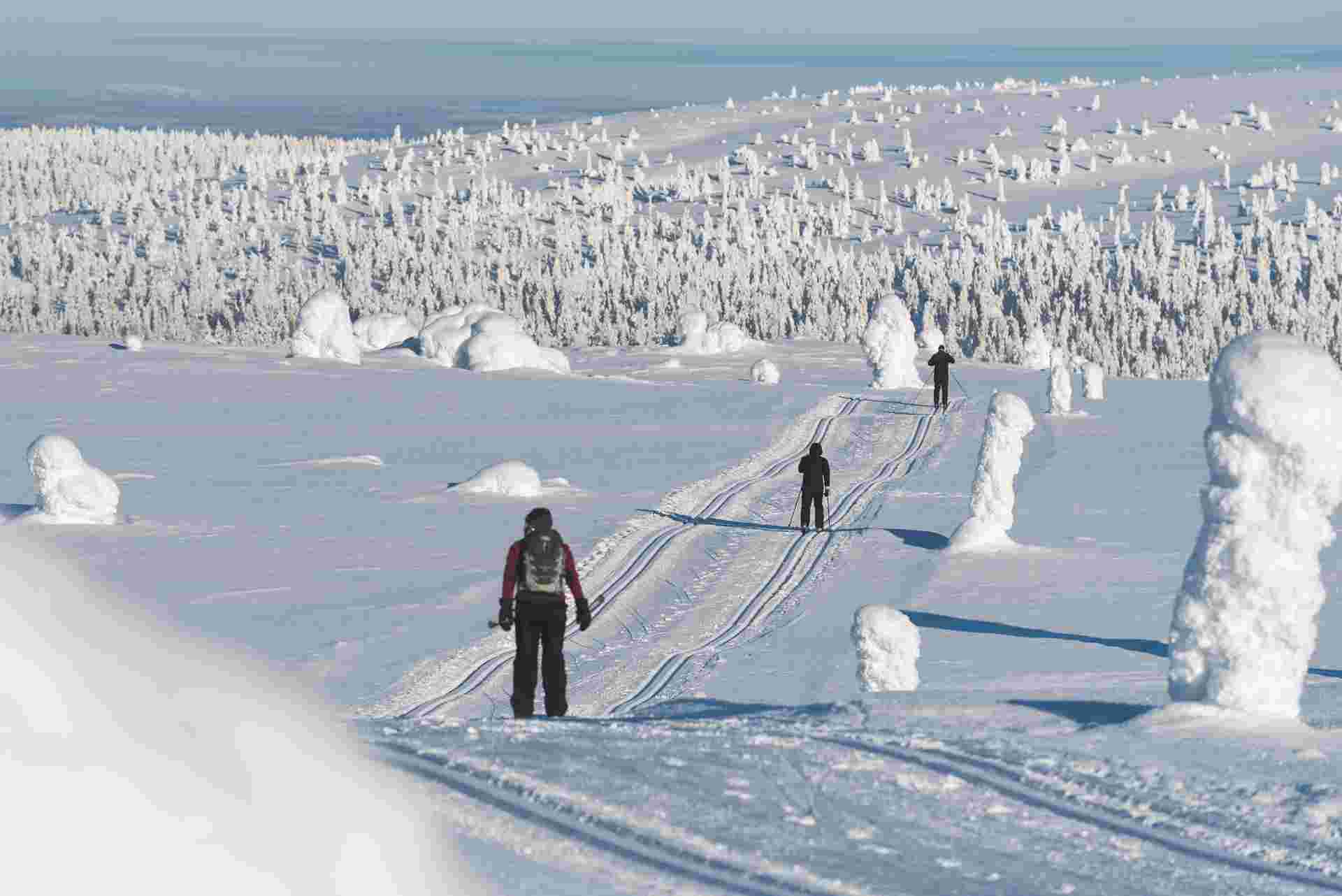 Cross-Country Skiing in Lapland