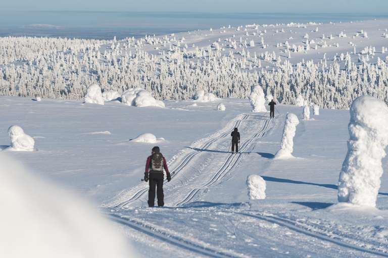 Cross-Country Skiing in Lapland trip - alternative tour available