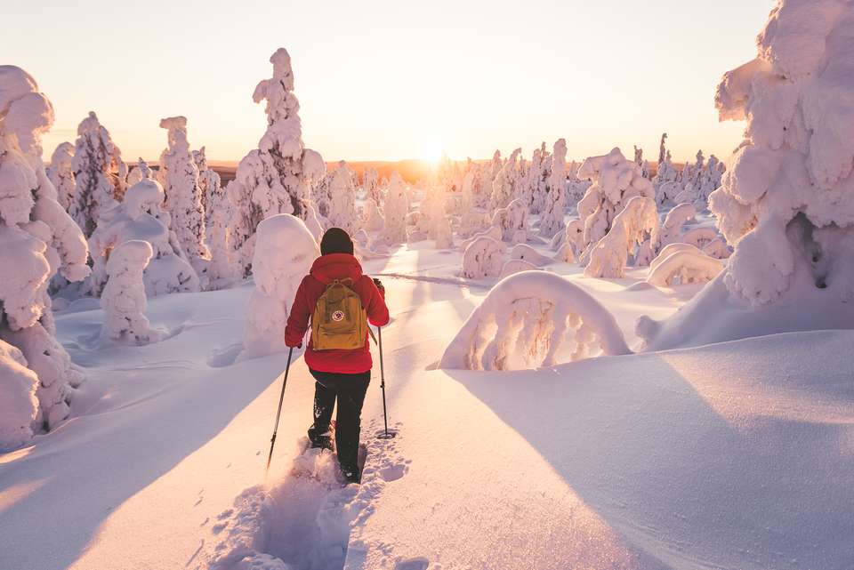 Cross-Country Skiing in Lapland - Exodus Adventure Travels - Finland - Image 3