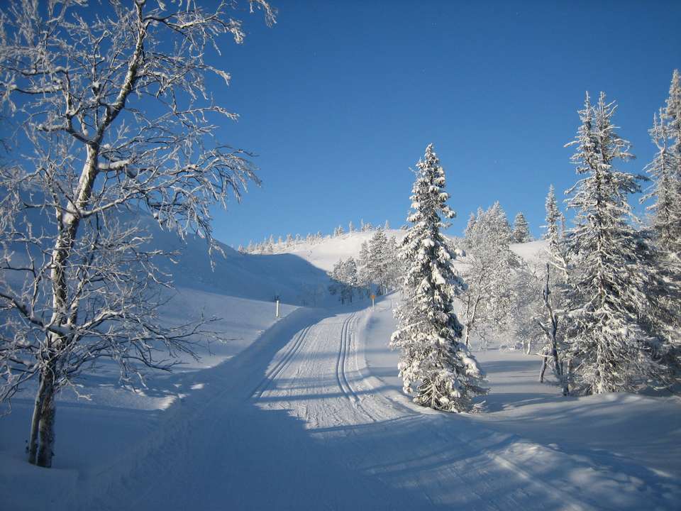 Cross-Country Skiing in Lapland - Exodus Adventure Travels - Finland - Image 5