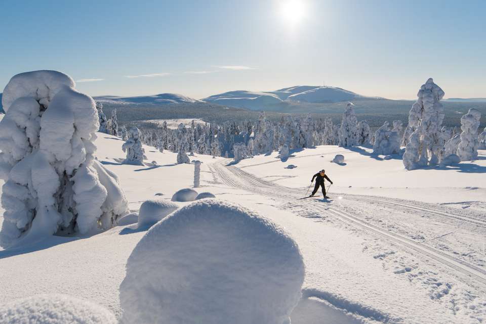 Cross-Country Skiing in Lapland - Exodus Adventure Travels - Finland - Image 6