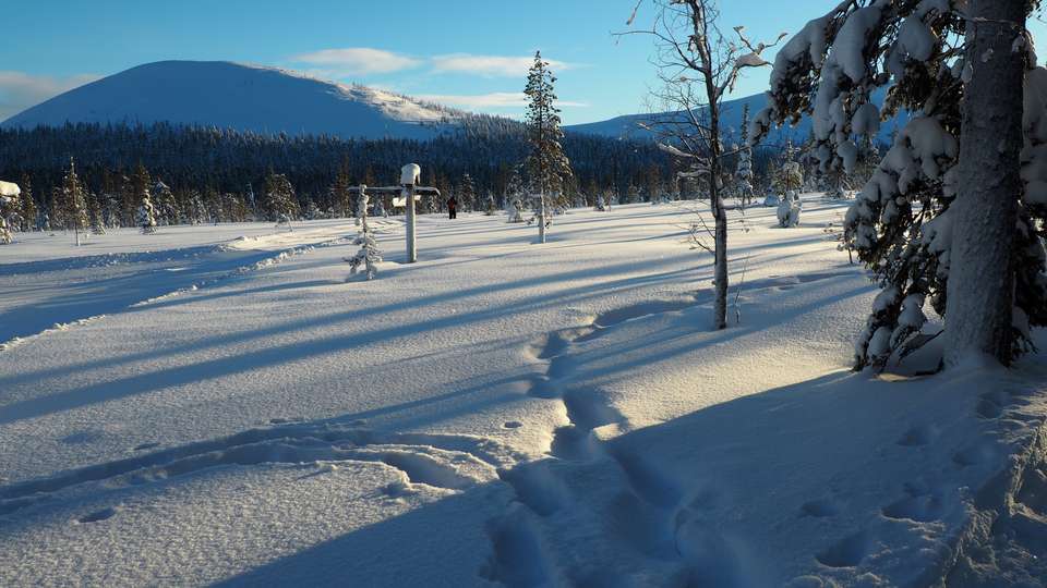Cross-Country Skiing in Lapland - Exodus Adventure Travels - Finland - Image 8