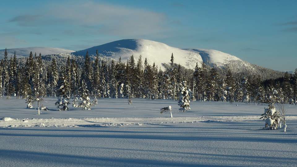 Cross-Country Skiing in Lapland - Exodus Adventure Travels - Finland - Image 10