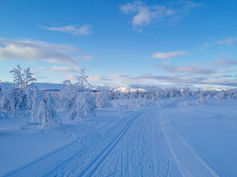 Cross-Country Skiing in Skåbu, Norway - Exodus Adventure Travels - Norway - Image 24