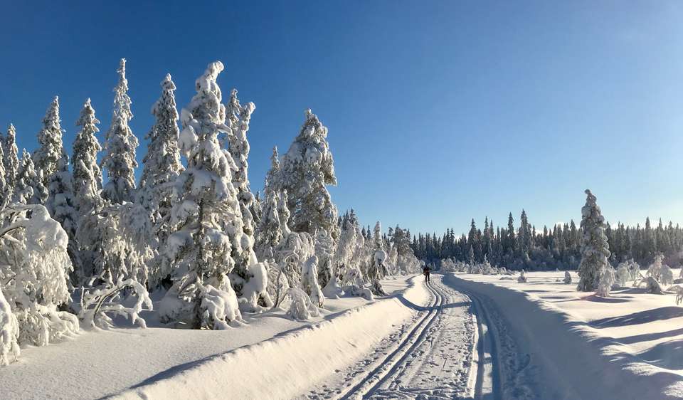 Cross-Country Skiing in Skåbu, Norway - Exodus Adventure Travels - Norway - Image 19