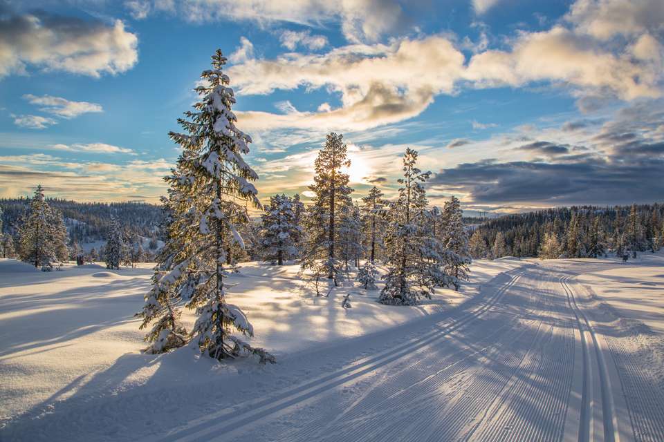 Cross-Country Skiing in Skåbu, Norway - Exodus Adventure Travels - Norway - Image 14