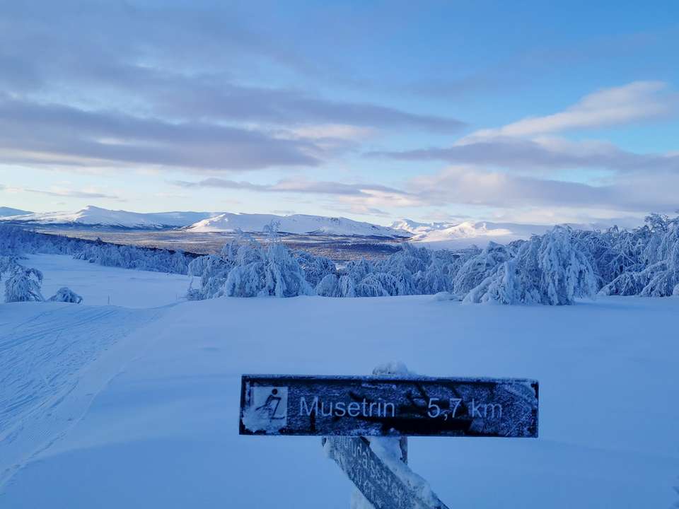 Cross-Country Skiing in Skåbu, Norway - Exodus Adventure Travels - Norway - Image 12