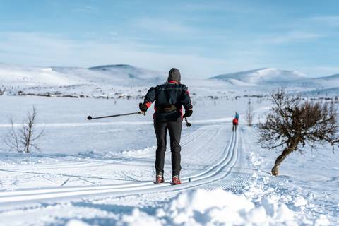 Cross-country Skiing In Venabu - February 2026