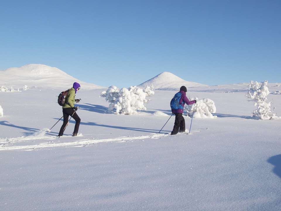 Cross-Country Skiing in Venabu - Exodus Adventure Travels - Norway - Image 23