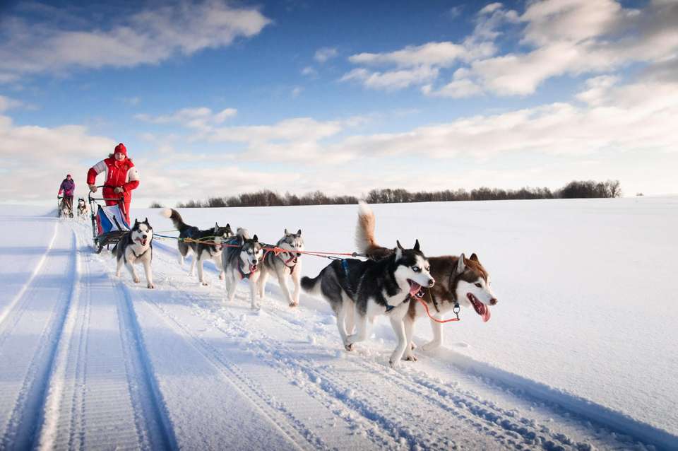 Cross-Country Skiing in Venabu - Exodus Adventure Travels - Norway - Image 22