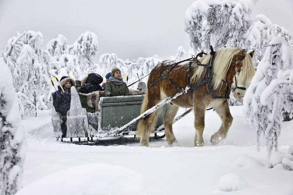 Cross-Country Skiing in Venabu - Exodus Adventure Travels - Norway - Image 16