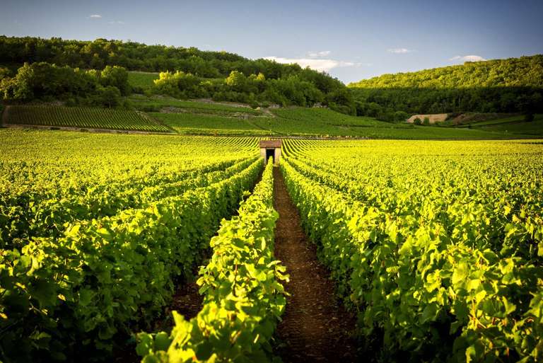 Crossing France trip - alternative tour available