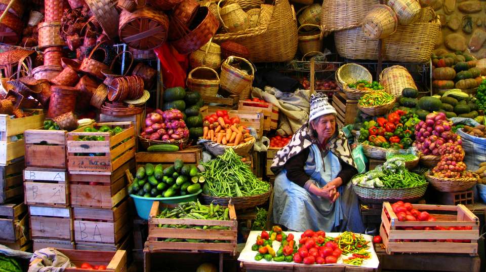 Crossing the Andes: Authentic Bolivian Experience - Terra Bolivia - Bolivia - Image 1