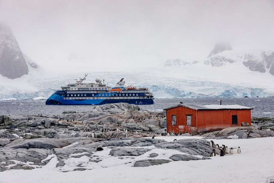 Crossing the Antarctic Circle (Ocean Victory) - Intrepid Travel - Argentina - Image 9