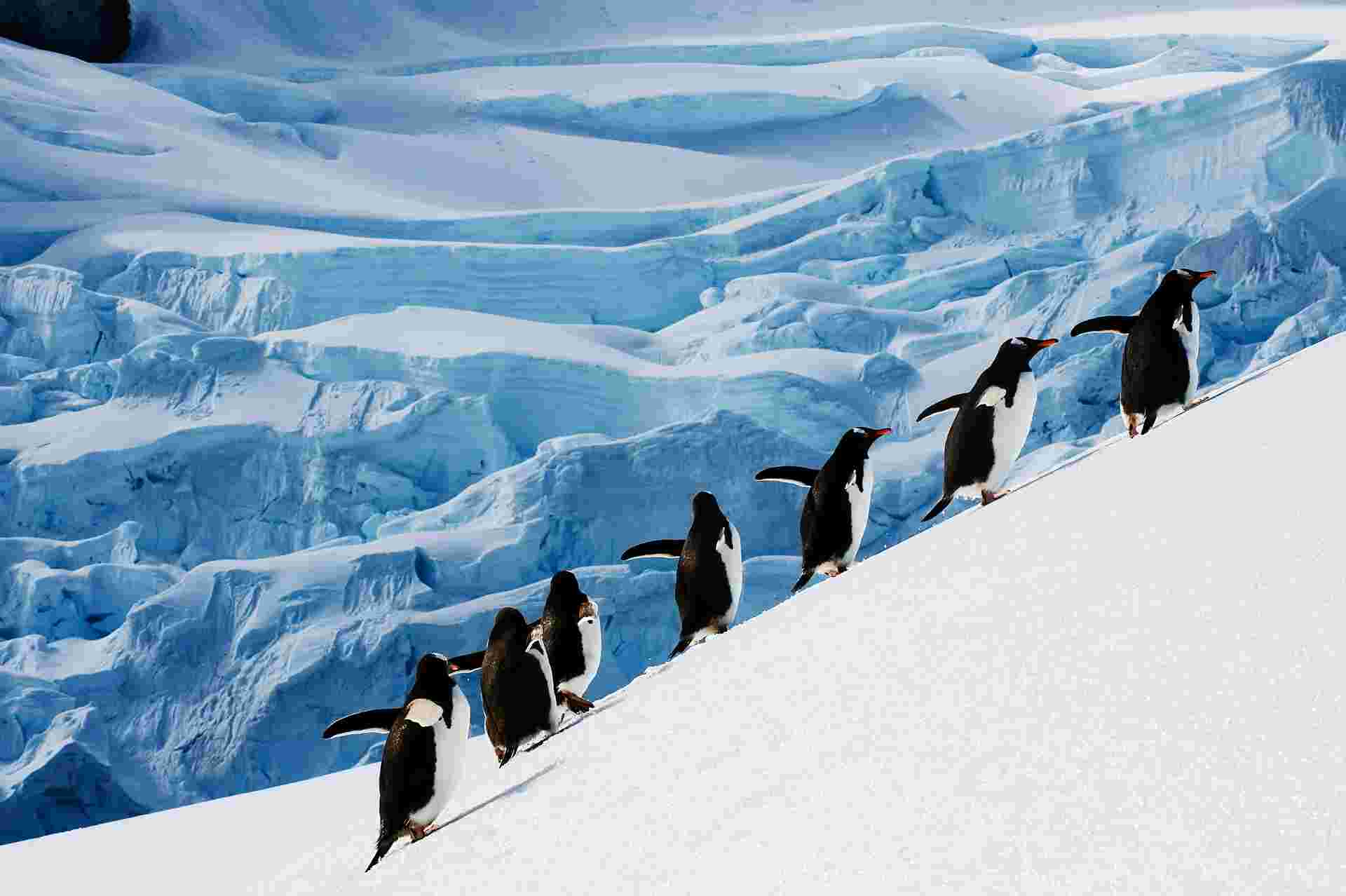 Crossing the Circle: Southern Expedition
