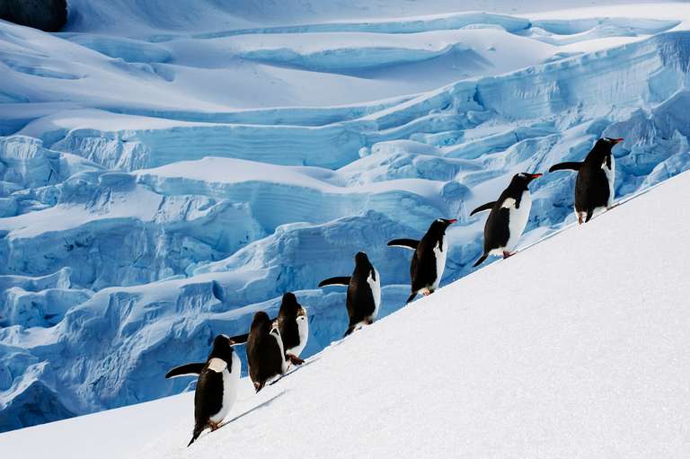 Crossing the Circle: Southern Expedition trip - alternative tour available