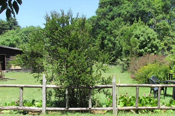 Image 2 of 4