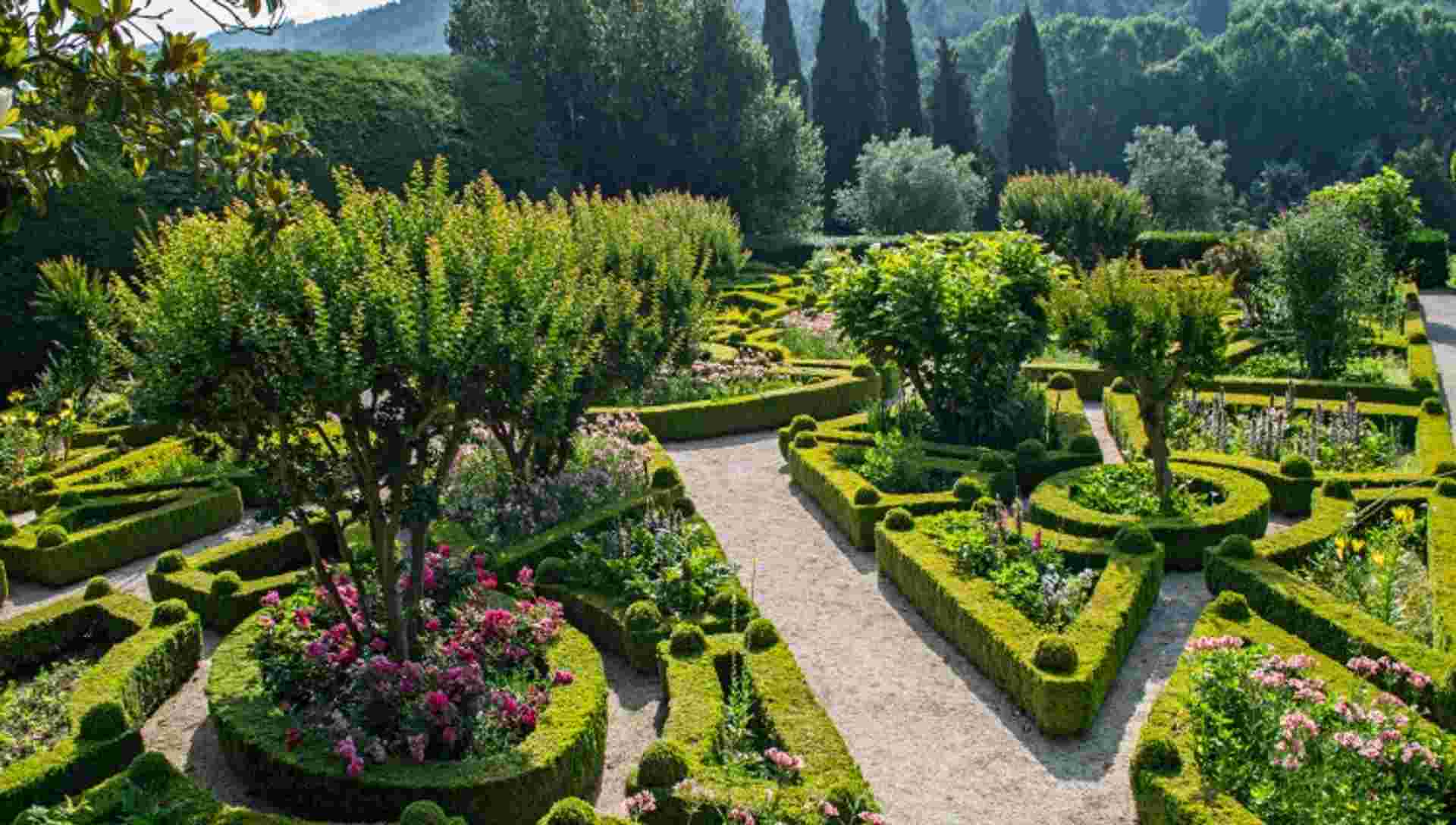 Cruise and Hikes in The Douro Valley, A Nature Lover's Dream (port-to-port cruise)