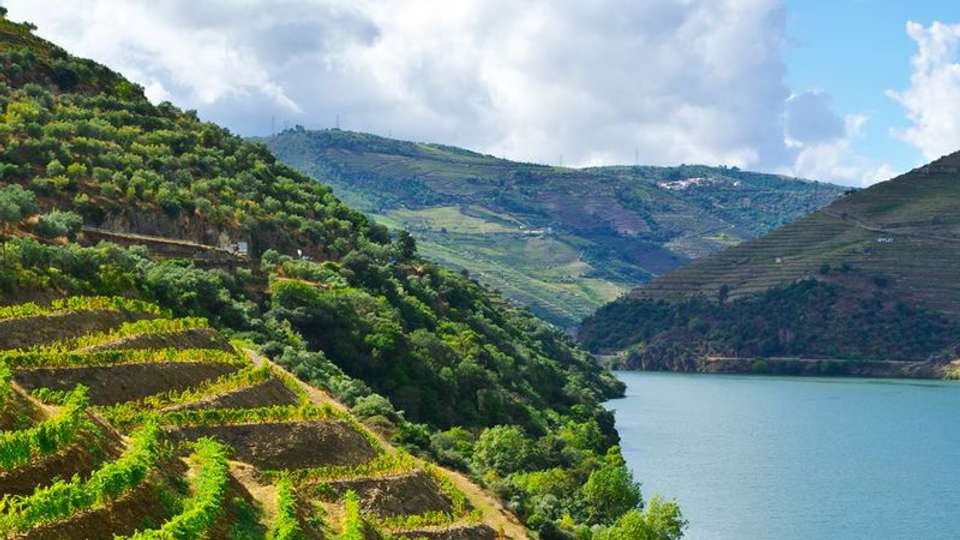 Cruise and Hikes in The Douro Valley, A Nature Lover's Dream (port-to-port cruise) - Tweet World Travel - Portugal - Image 5