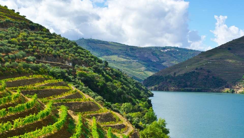 Cruise and Hikes in The Douro Valley, A Nature Lover's Dream (port-to-port cruise) - undefined - Image 8