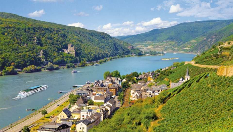 Cruise Festival: Legends, Festivities, and Delicacies on the Romantic Rhine River - undefined - Image 2