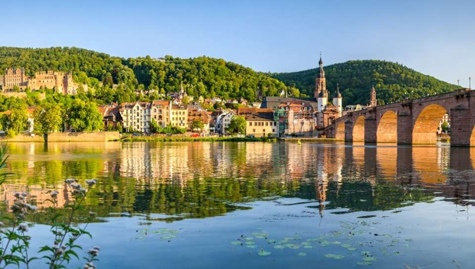 Cruise Festival: Legends, Festivities, and Delicacies on the Romantic Rhine River - undefined - Image 3