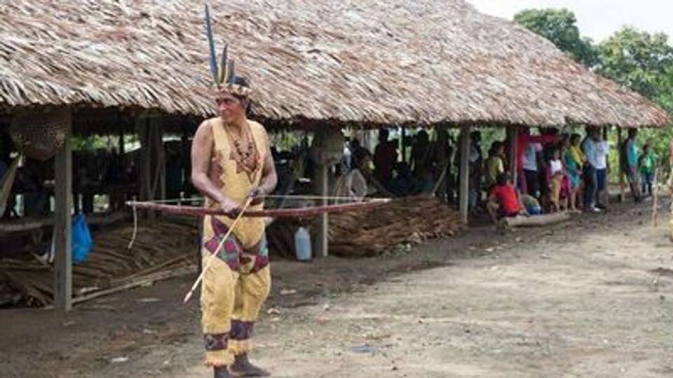 Cruise in the Heart of the Original Amazon - An exploration deep into the jungle, between Brazil and Colombia (port-to-port cruise) - Croisieurope - Brazil