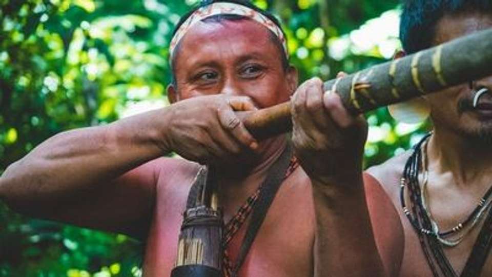 Cruise in the Heart of the Original Amazon - An exploration deep into the jungle, between Brazil and Colombia (port-to-port cruise) - Croisieurope - Brazil