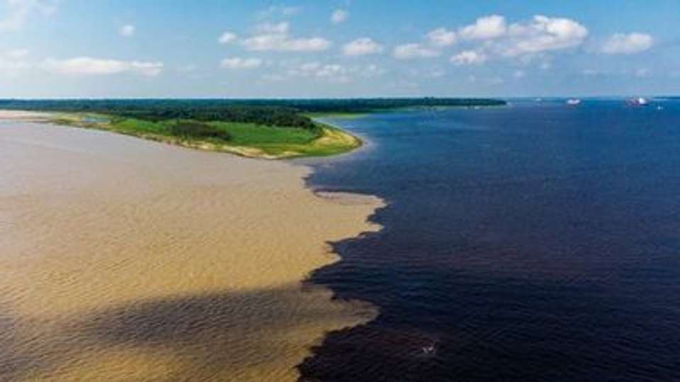 Cruise into the Heart of Primal Amazonia - An exploration at the edge of the jungle, between Brazil and Colombia (port-to-port cruise) - undefined - Image 11