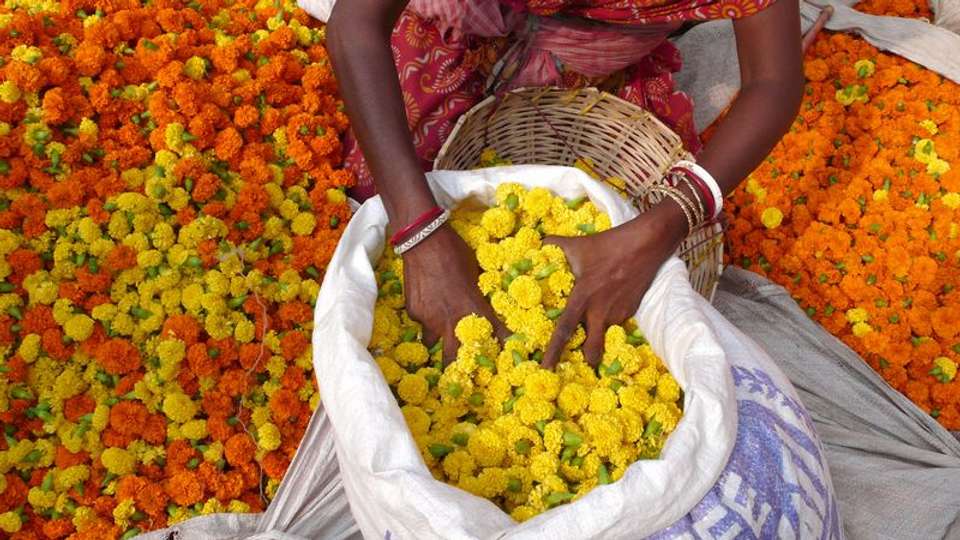 Cruise on the Ganges between Kolkata and Varanasi & the splendors of Rajasthan (port-to-port cruise) - Tweet World Travel - India - Image 8