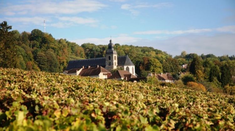 Cruise on the Marne-Rhine canal from Epernay to Paris (port-to-port ...